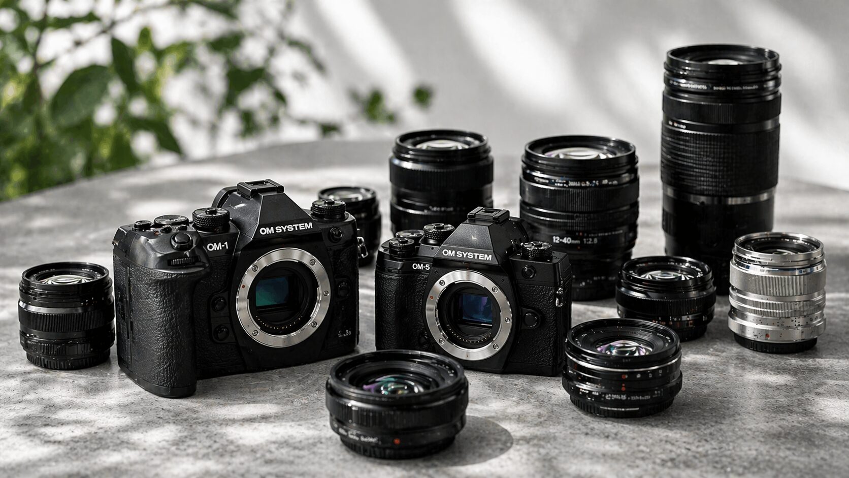 OM SYSTEMとの互換