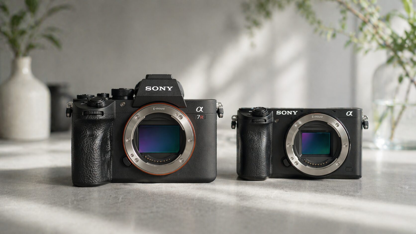 フルサイズとAPS-C