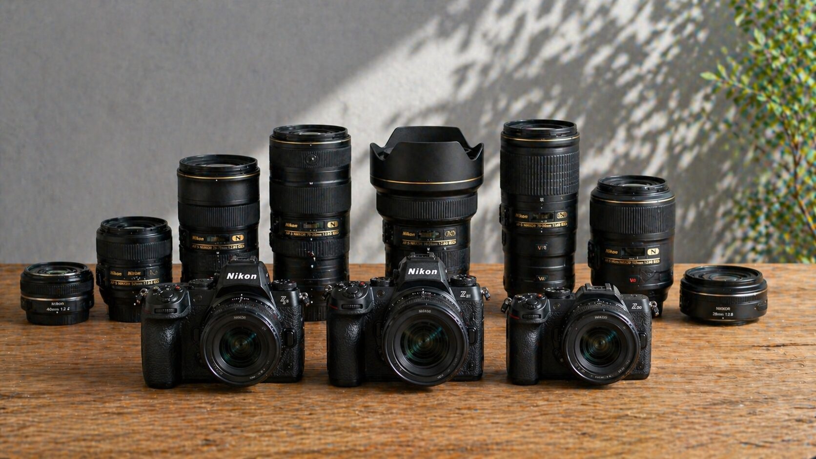 レンズ資産の活かし方